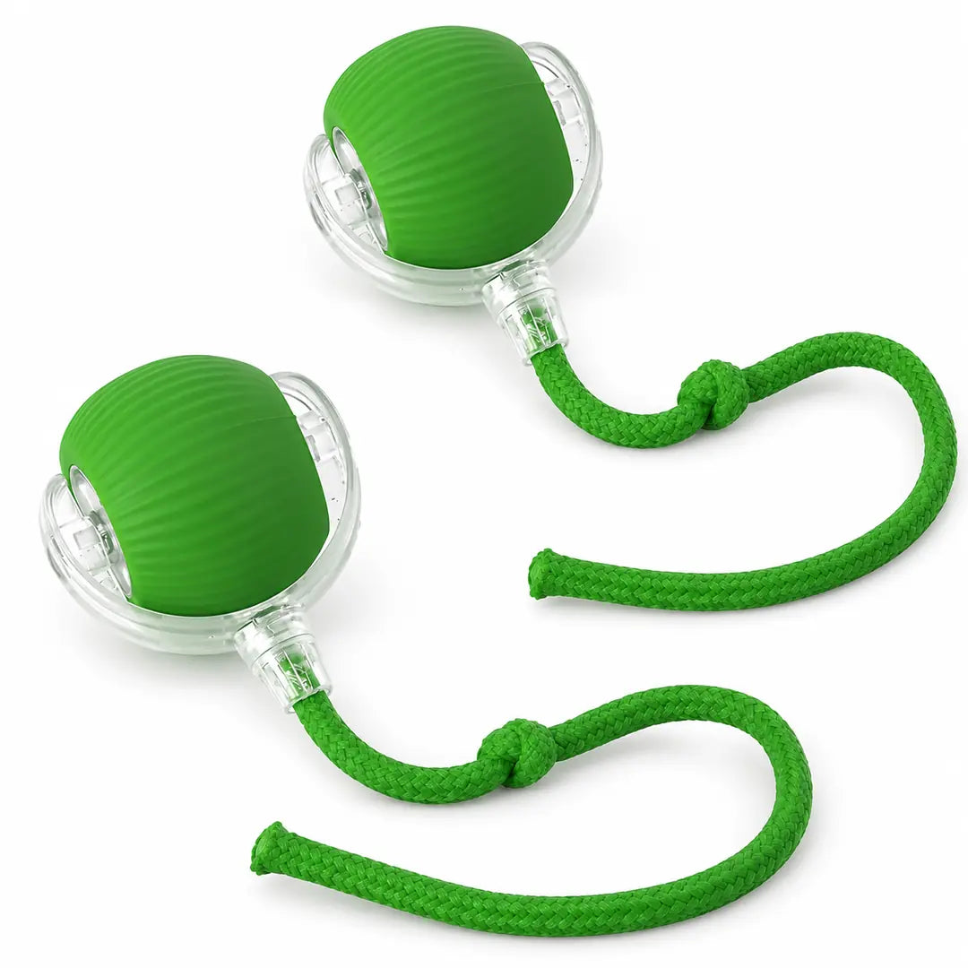ActivaPet Pelota Interactiva 3 Modos