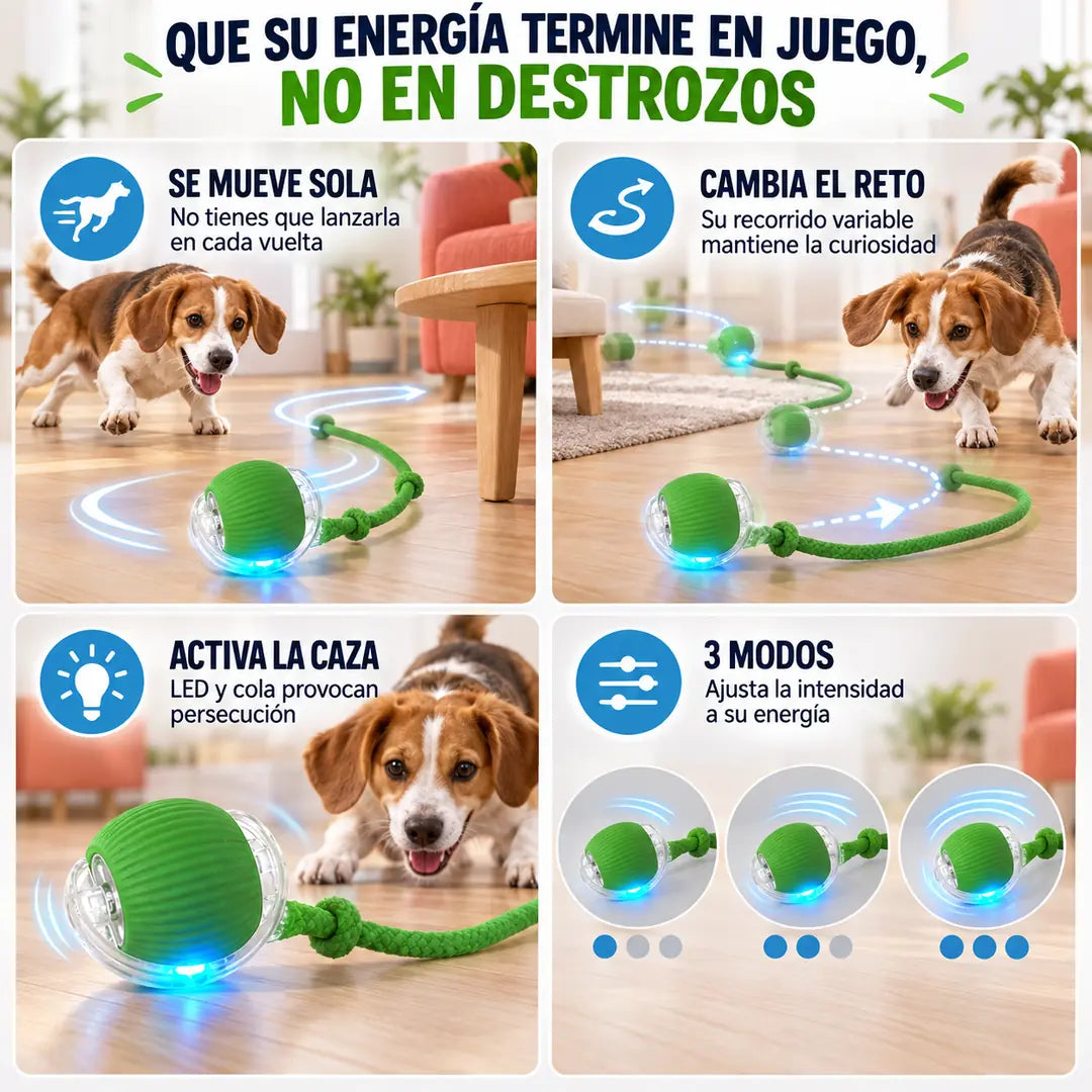 ActivaPet Pelota Interactiva 3 Modos