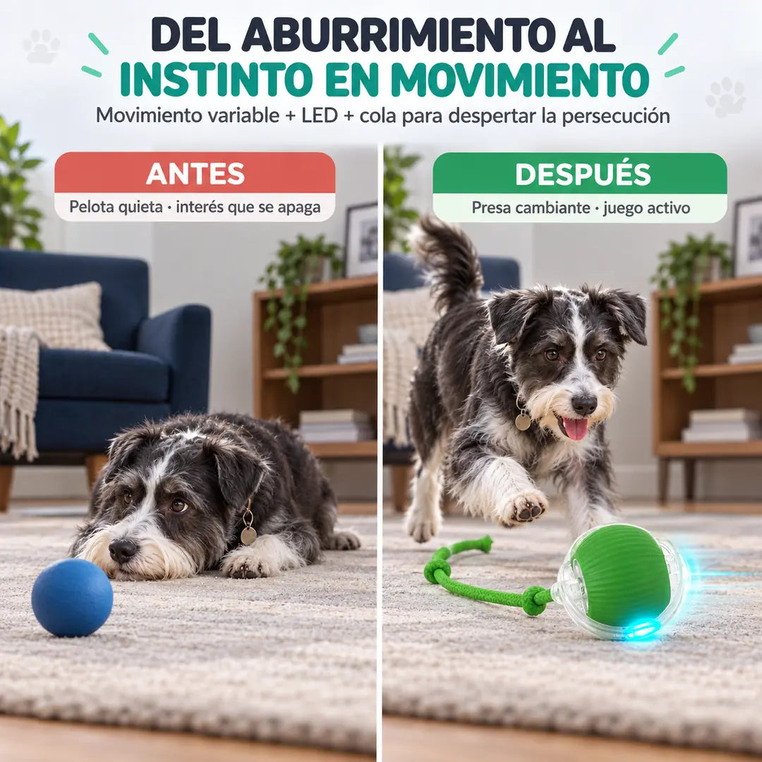 ActivaPet Pelota Interactiva 3 Modos